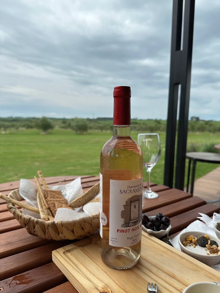 5-wine tasting experience