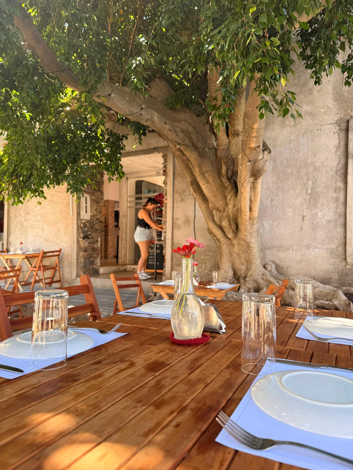 Bruma restaurant Colonia dining experience