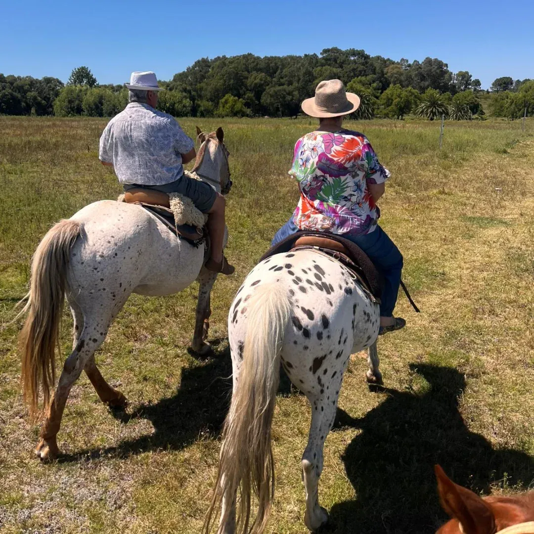 Horseback riding in Riachuelo countryside