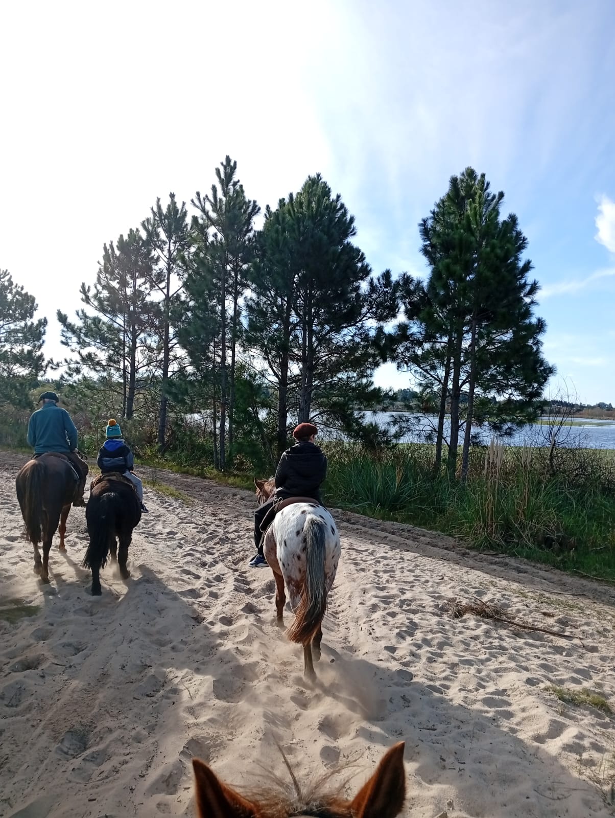 Horseback riding in Colonia del Sacramento