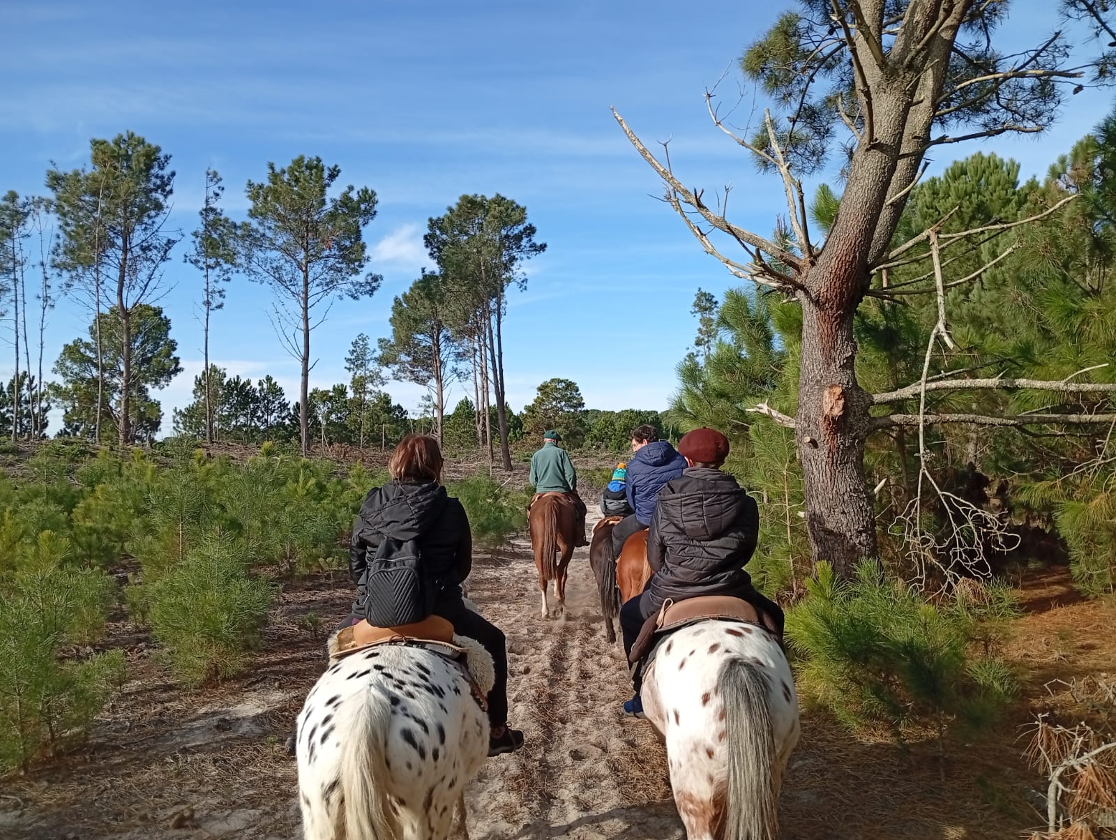 Horseback riding in Colonia del Sacramento