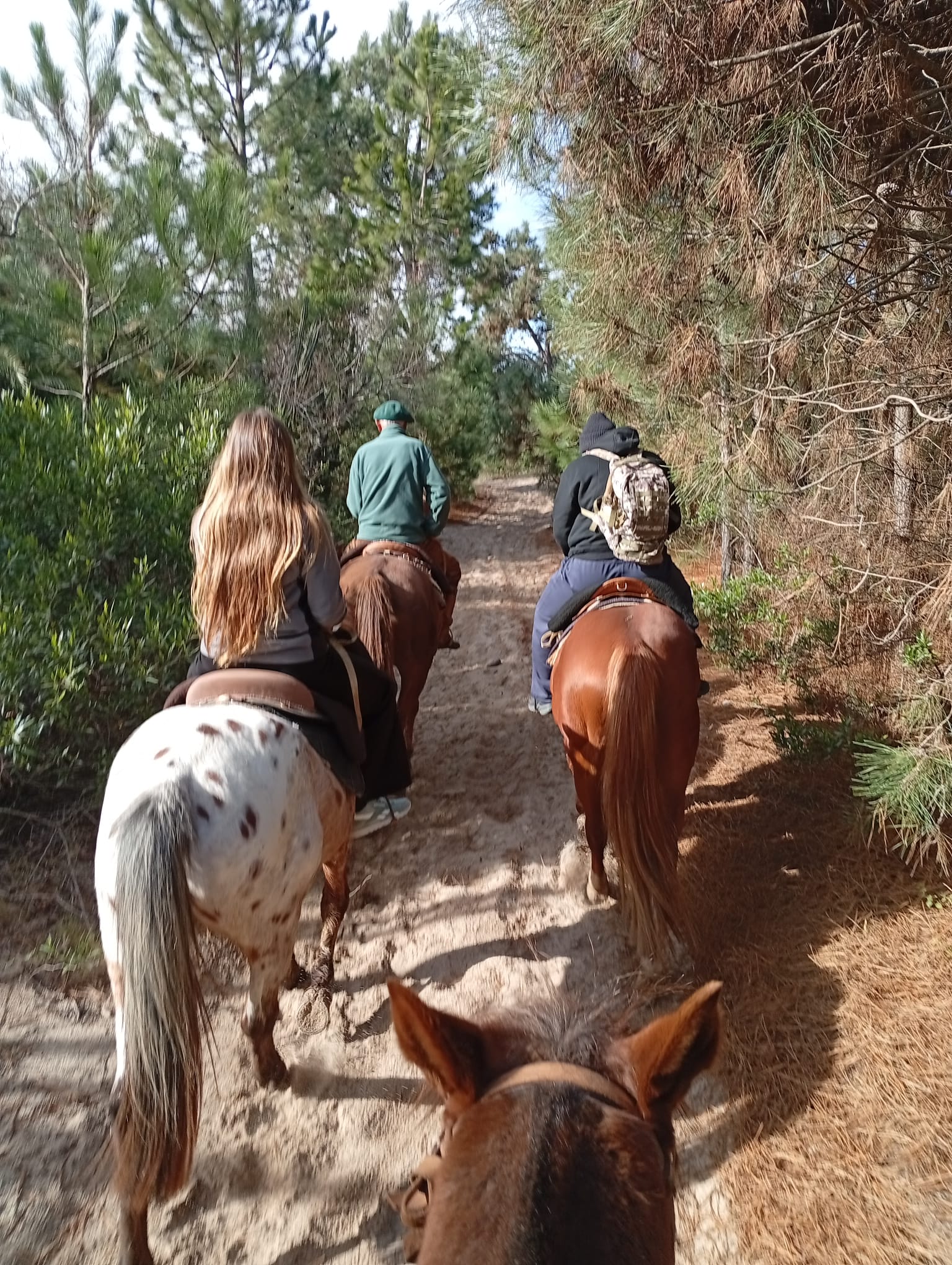 Horseback riding in Colonia del Sacramento