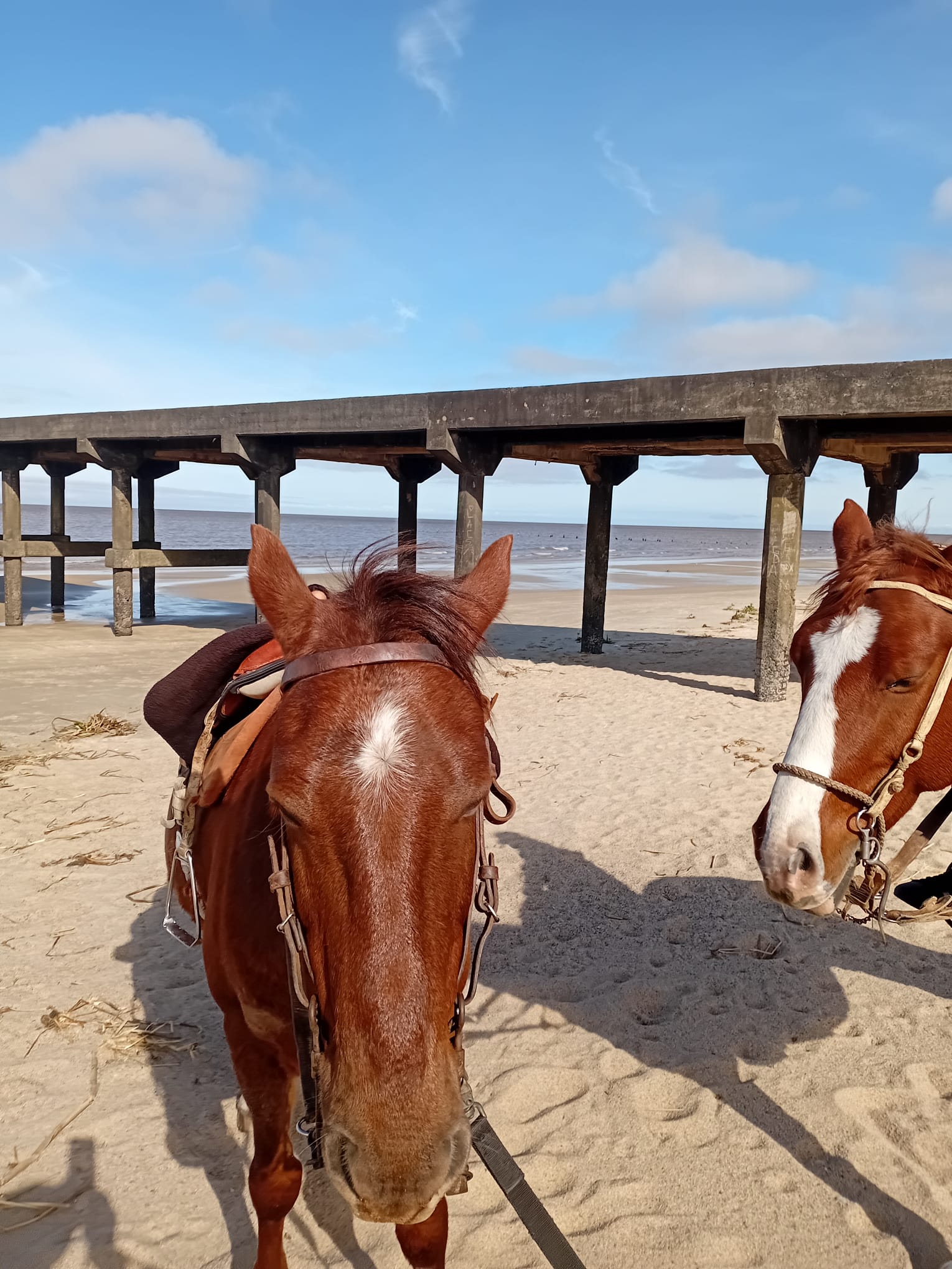 Horseback riding in Colonia del Sacramento