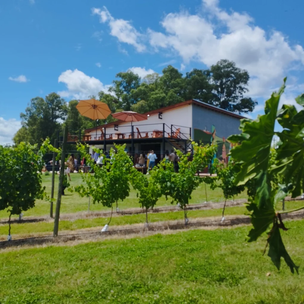 Winery visit and local wine experience