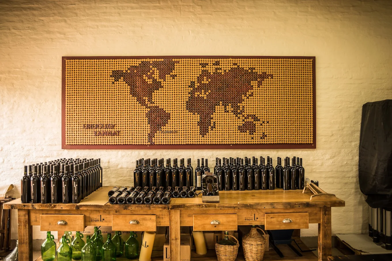 Legado vineyard and natural surroundings