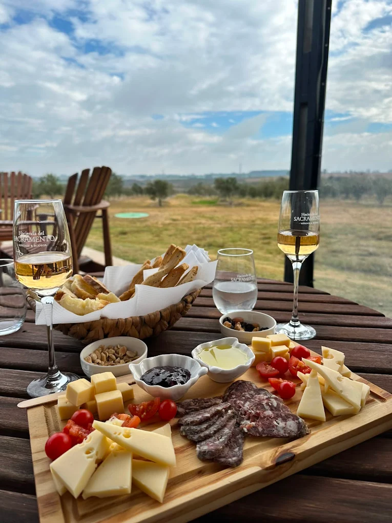 Premium wine and local flavors experience