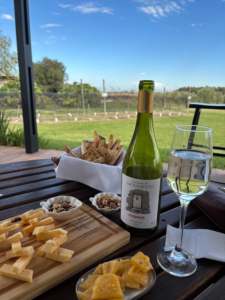 Wines and cheeses pairing experience
