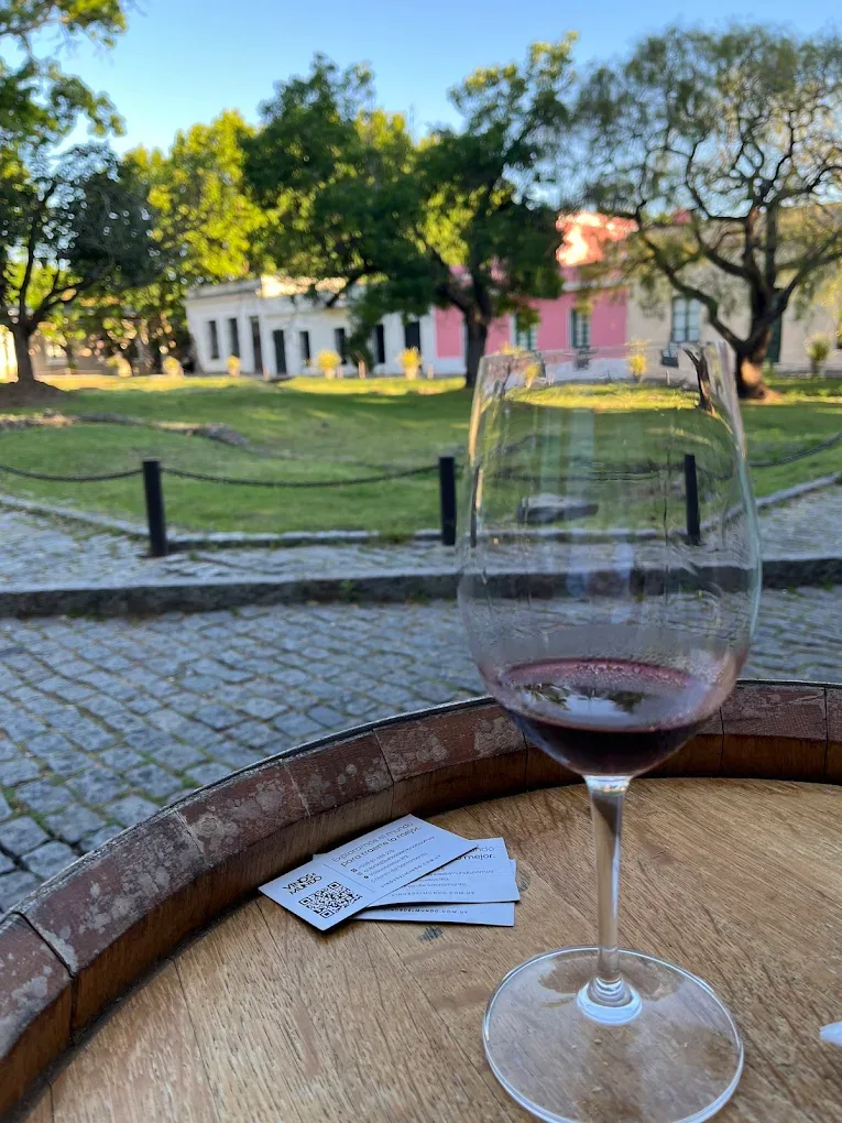 Wine glasses at Vinos del Mundo