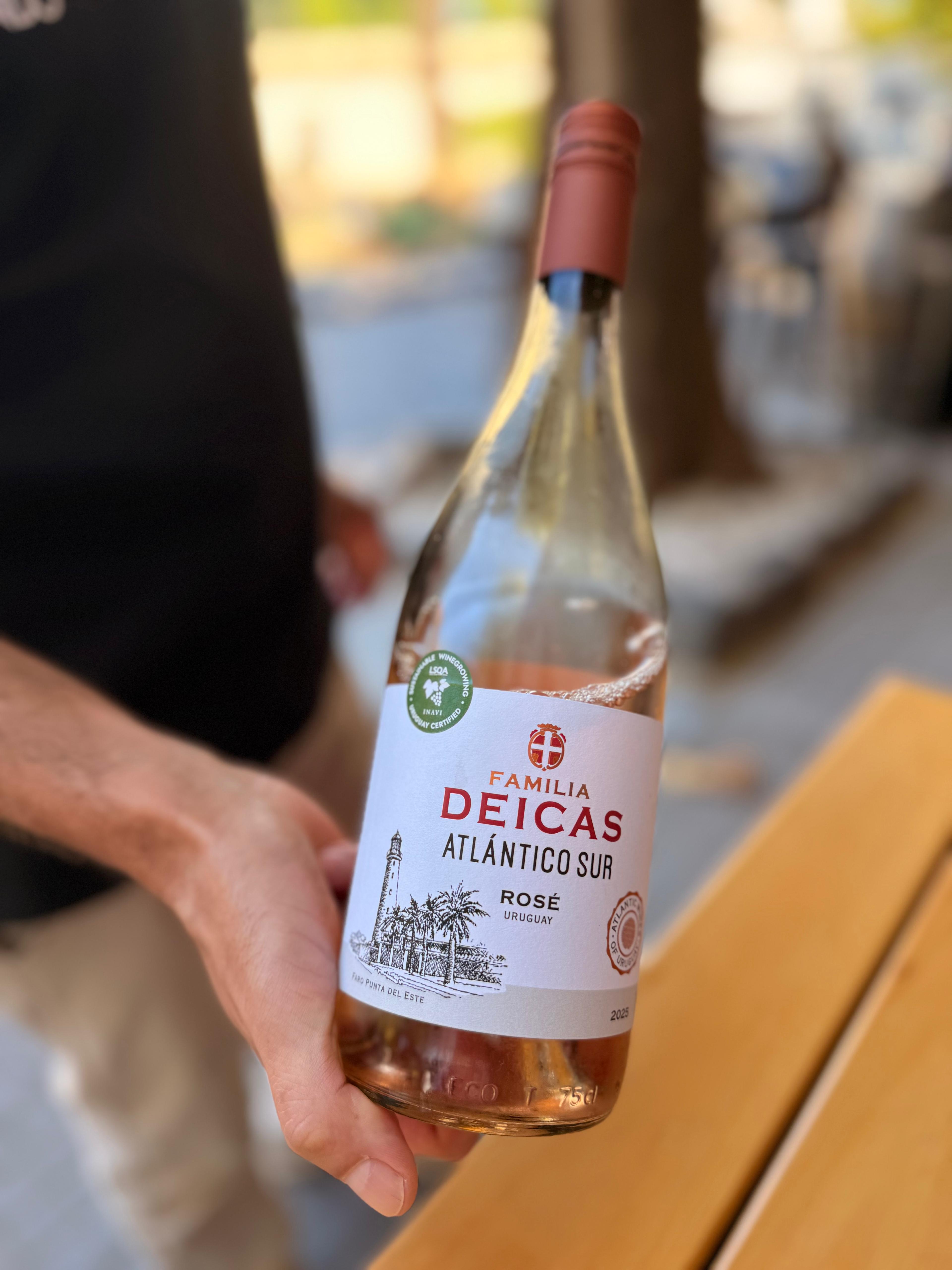 Wine experience at Vinos del Mundo